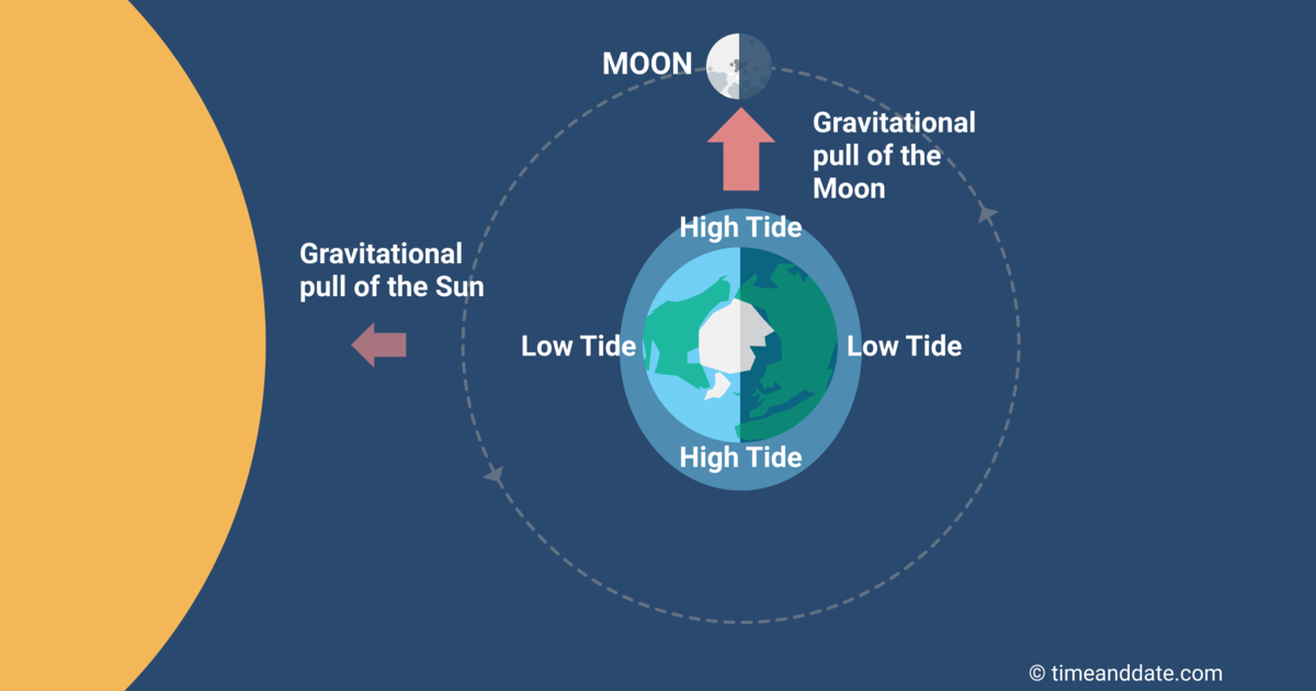 The tidal range is smallest at the 2 Quarter Moons.