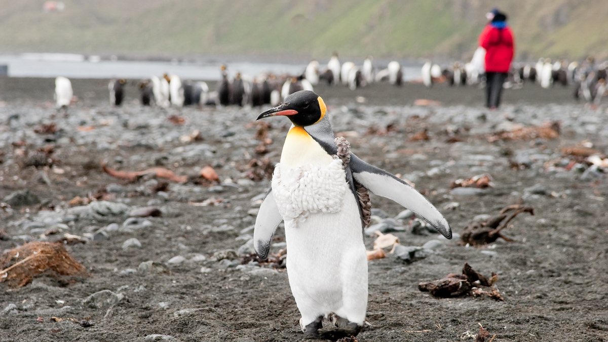 Time Zone Changes in Antarctica