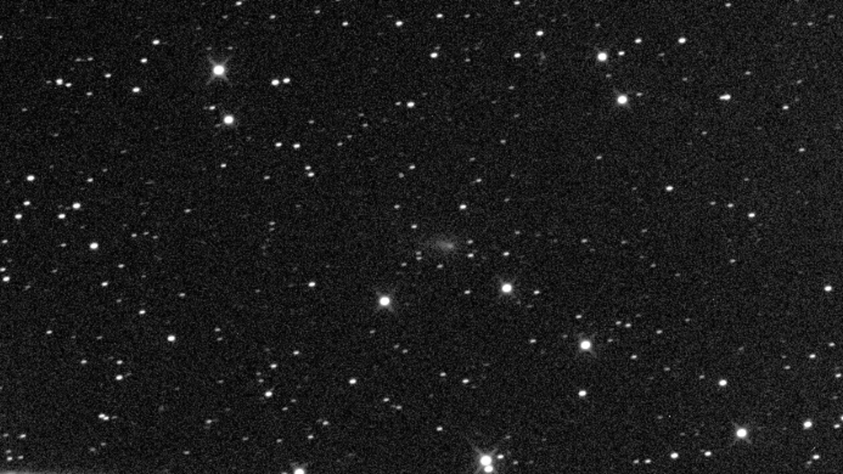 An image of Comet C/2024 S1 (ATLAS) taken on 3 October, 2024, soon after its discovery.