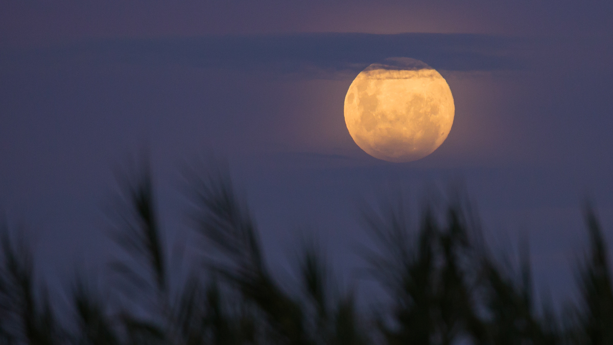 Harvest Moon and Full Corn Moon in September