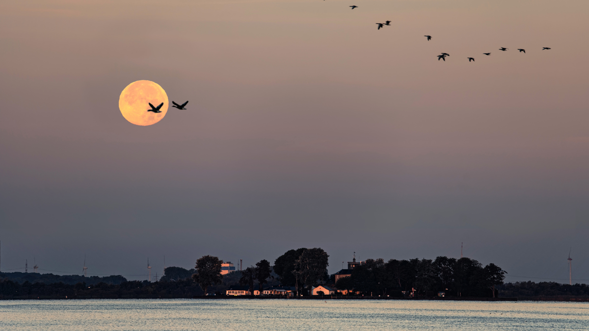 Hunter’s Moon Or Harvest Moon In October