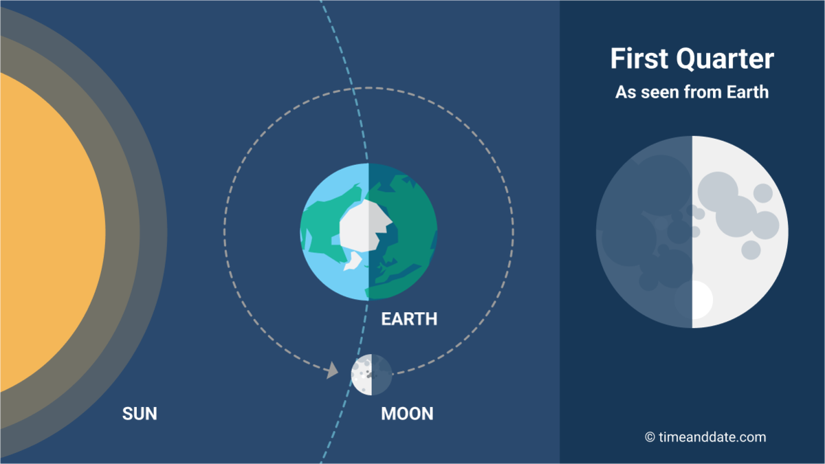 Side-by-side illustration of the First Quarter Moon as seen from space. A 50% lit up Moon is shown on the side to show how it looks from Earth.