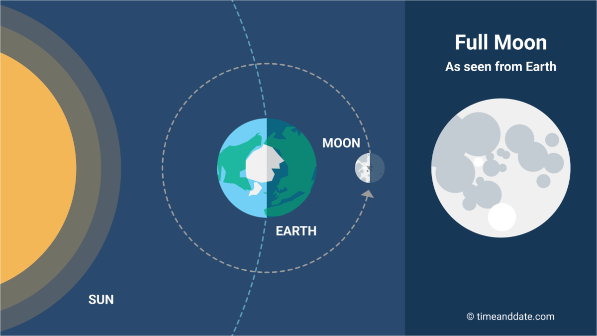What are the phases of the Moon?