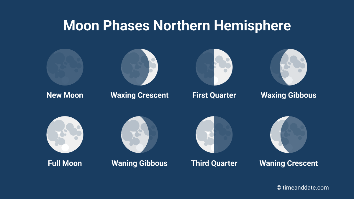 Moon Cycle With Days