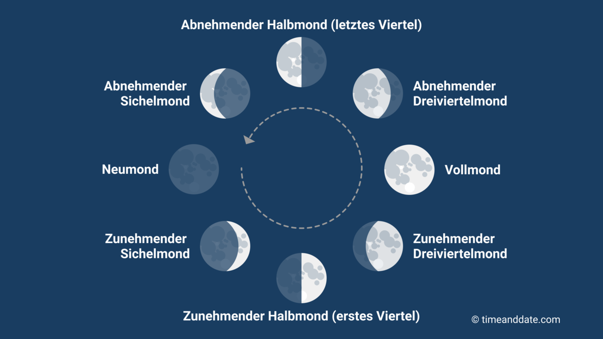 Illustration der acht Mondphasen, von der Erde aus gesehen