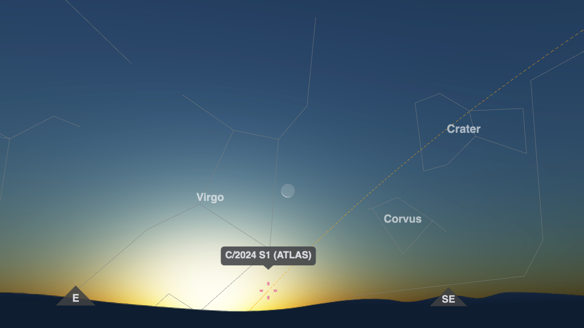 The position of comet C/2024 S1 (ATLAS) is shown on timeanddate.com’s Night Sky Map for New York, USA, at 07:10 (7:10 am) local time on October 30, 2024. A wafer-thin Crescent Moon is also shown.