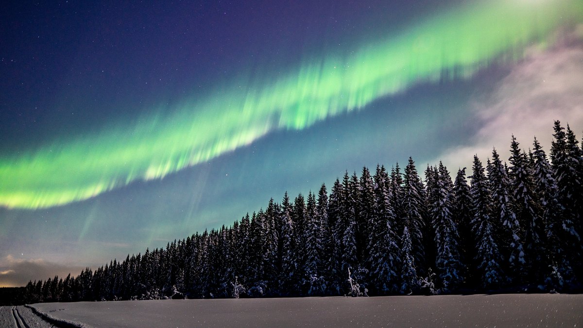 Northern lights over a moonlit, winter landscape.