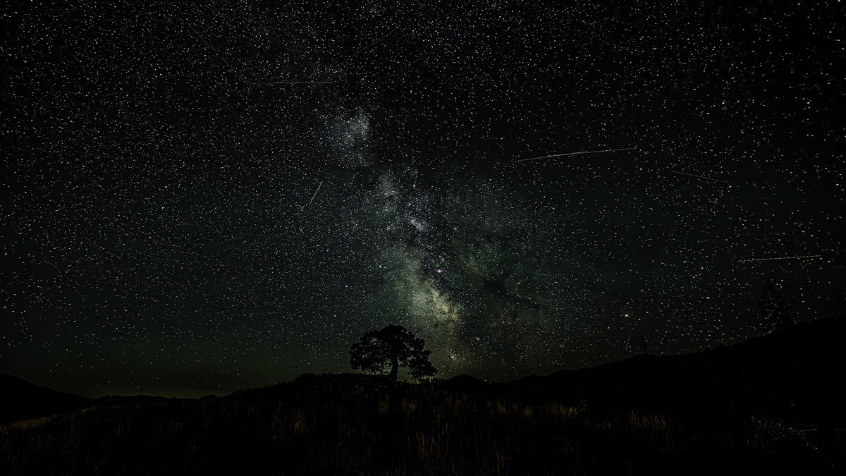 A starry night sky featuring the Milky Way galaxy, with a lone tree silhouetted on a hill in the foreground.