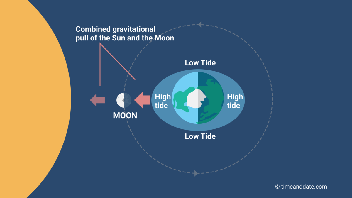 The Moon Causes Tides On Earth