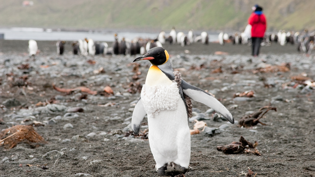 Time Zone Changes in Antarctica