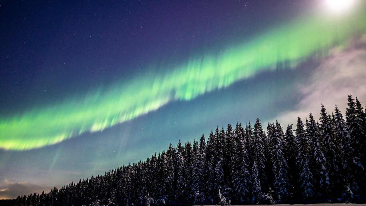 Northern lights over a moonlit, winter landscape. 
