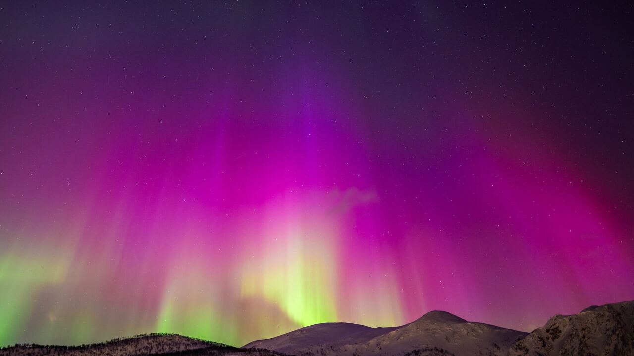 38-kT SOTE ver. AURORA（COLORS：AURORA） ライト・ランタン 38-kT SOTE ver. AURORA AURORA LED Rocklight