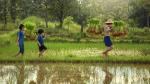Two children walking behind their father on the rice fields with bales of hay on their shoulder.