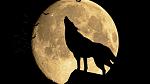 Mond mit heulendem Wolf