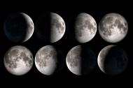 Illustration showing the Moon phases based on Moon images from NASA.