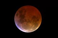 Fully eclipsed Blood Moon.