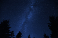 Picture of night sky with the milky way in focus and trees at the bottom of the image. 