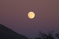 Close-up shot of the rising Full Moon