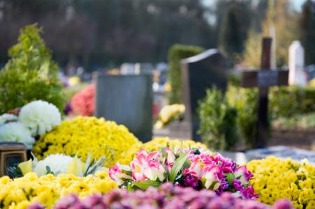 Flowers in Cementary