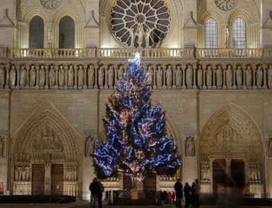 Christmas Tree in front of Notre Dame Cathedral