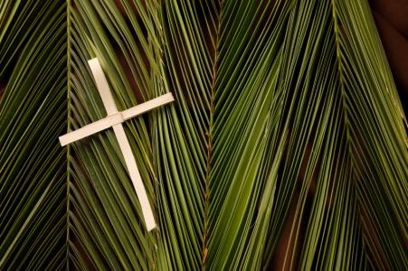 Cross palms