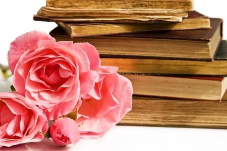 Isolated pile of books and pink roses