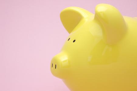 Close up of yellow pig on pink background.