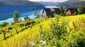 Bondegård med utsikt over fjord på en sommerdag.