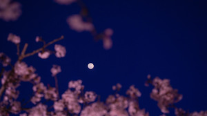 The Micro Flower Moon in May 2025