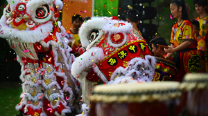 Drummers and dancers hidden in a Chinese lion puppet.