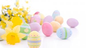 Easter Eggs and Flowers