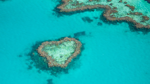 Heart reef in the Great Barrier Reef, viewed from a seaplane.