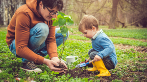Photo of a little boy and his father sitting in a forrest with big trees in the background, planting a small tree with green leaves.