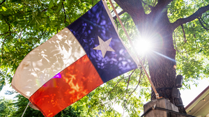 Photo of the Texas State Flag with the sun shining through a tree behind it.