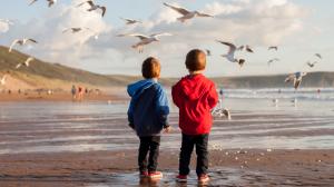 2 kids watching seagulls at low tide on a beach