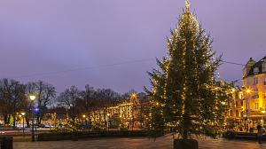 Juletre ute, pyntet med lys, i Oslo, Norge.
