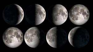 Illustration showing the Moon phases based on Moon images from NASA.  