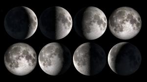 Illustration showing all the different Moon phases next to one another