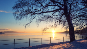 Footpath by the Oslo Fjord at sunset in December, Norway.