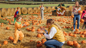 Children and adults picking pumpkins at a pumpkin patch in autumn, dressed in Halloween costumes.