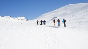 Sju personer sett bakfra går på ski i et snødekket landskap og med blå himmel.