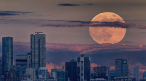 A really big yellow Supermoon rises over the high rise and skyscraper buildings in Vancouver British Columbia, Canada.
