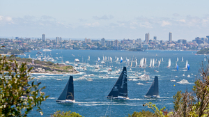 Far away view of sailboats racing in Sydney Harbour.