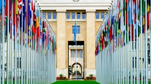 Flags from all over the world lining up the way to the United Nations's headquarters in Geneva, Switzerland.