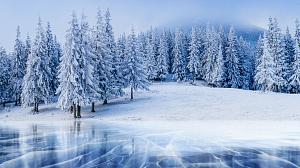 Winter: Zugefrorener See und verschneite Bäume