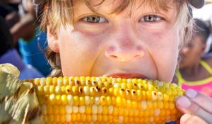 Young boy eating a corn on the cob. 