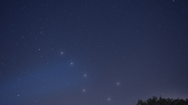 The Big Dipper asterism clearly visible on a dark night above a forrest.