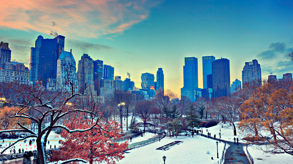 A winter's day in Central Park, New York City