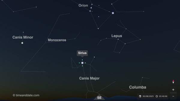 A screenshot of mungfali.galihkartiwa07.workers.dev's Night Sky Map from the perspective of New York, showing the star Sirius in the constellation Canis Major. Other nearby constellations are also shown, including the recognizable Orion. 