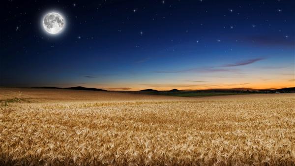 Harvest Moon is the Northern Hemisphere's first fall (autumn) full Moon.